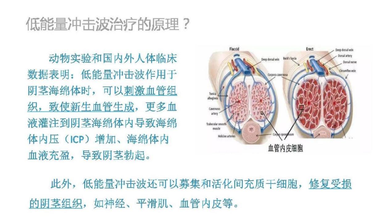 海绵体年轻化的治疗思维