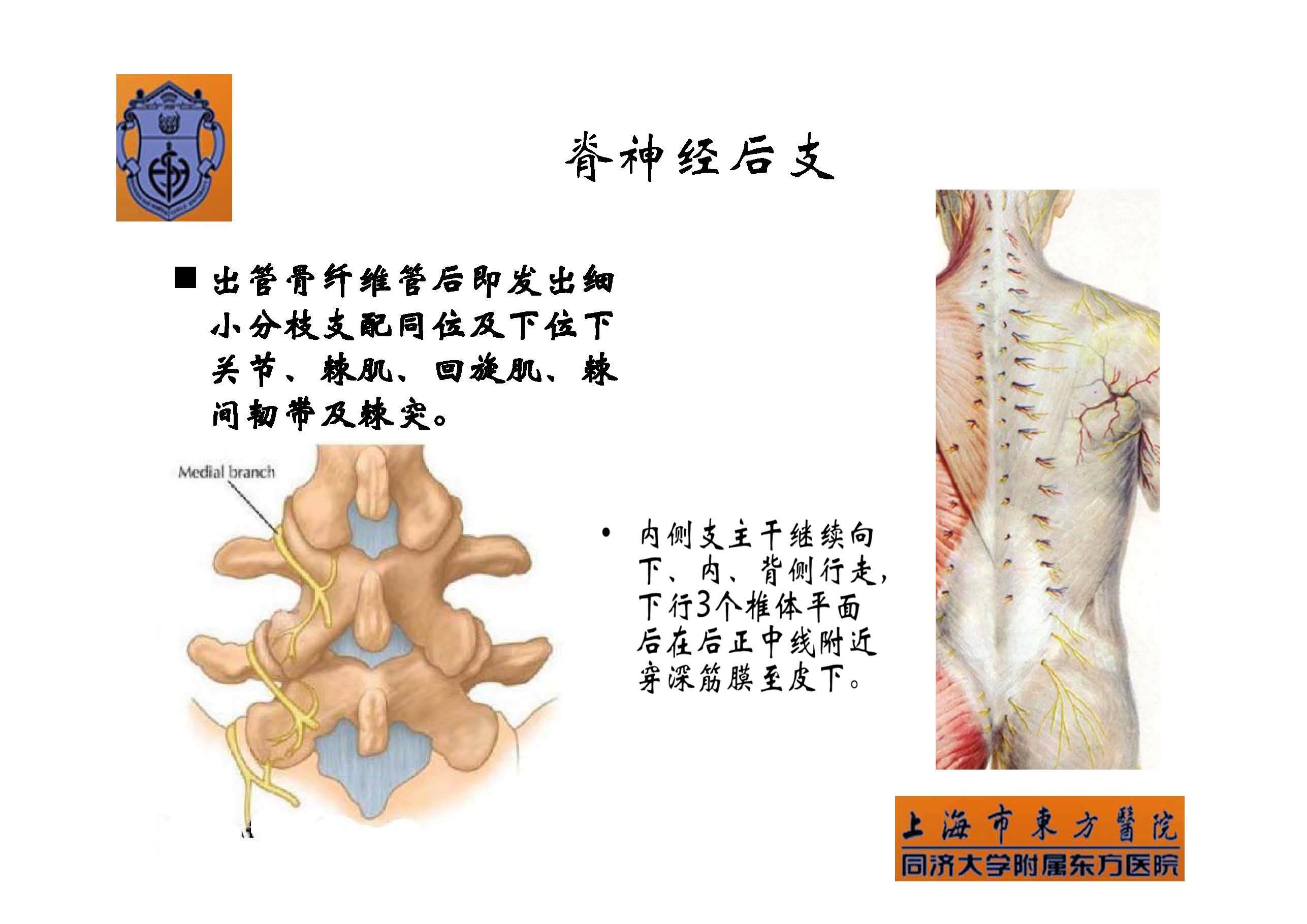 实用腰椎椎旁神经阻滞