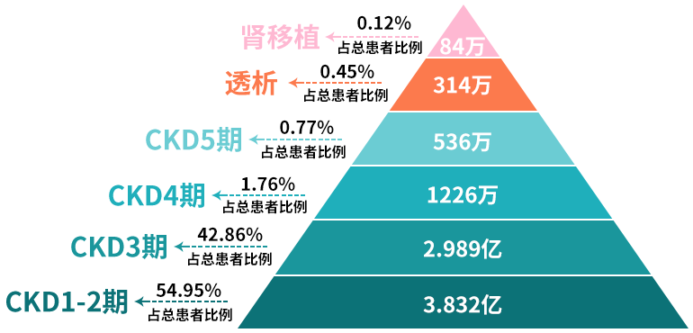 975亿慢性肾脏病(ckd)患者,占全球人口的9.