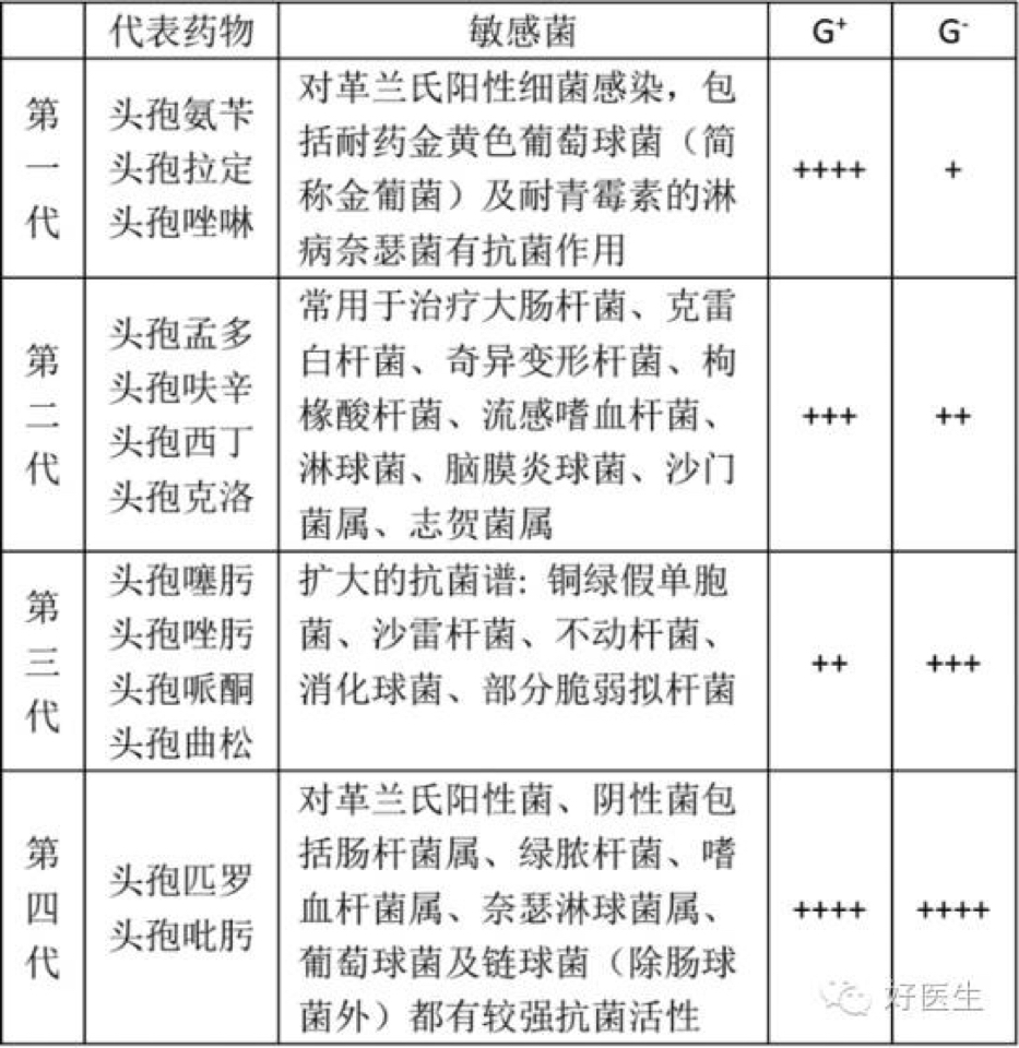 头孢菌素类药物抗菌效果特点