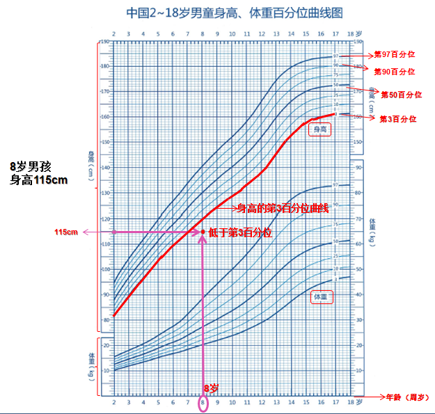 孩子身高达标吗教你正确对照身高曲线图