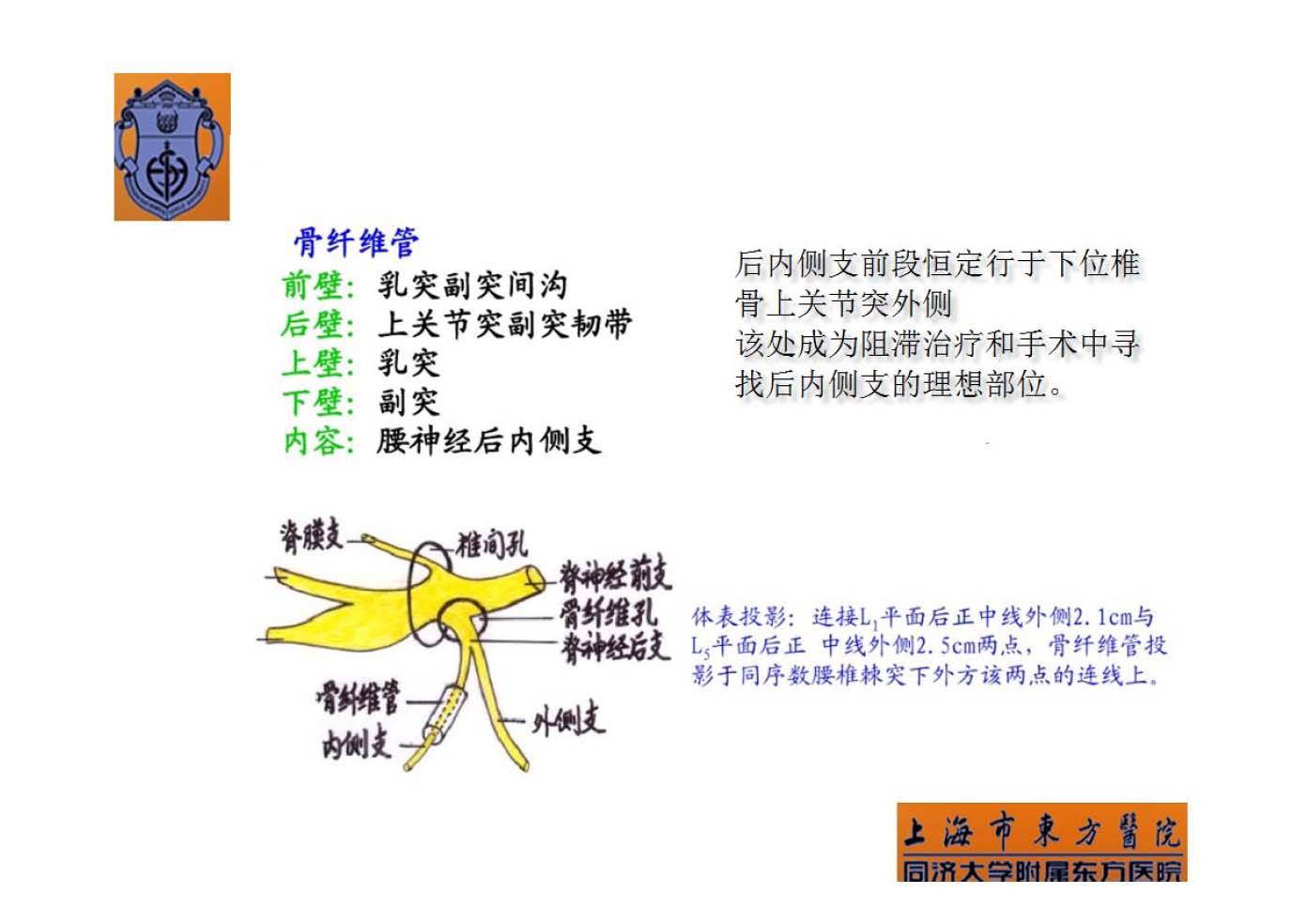 实用腰椎椎旁神经阻滞