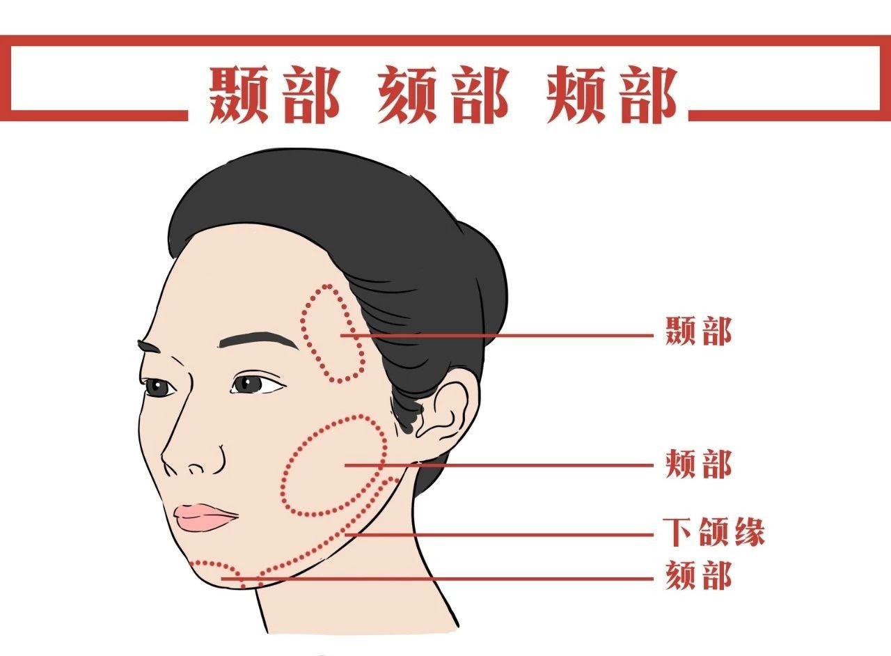 面部网格化分区及自体脂肪精细移植 - 微医(挂号网)