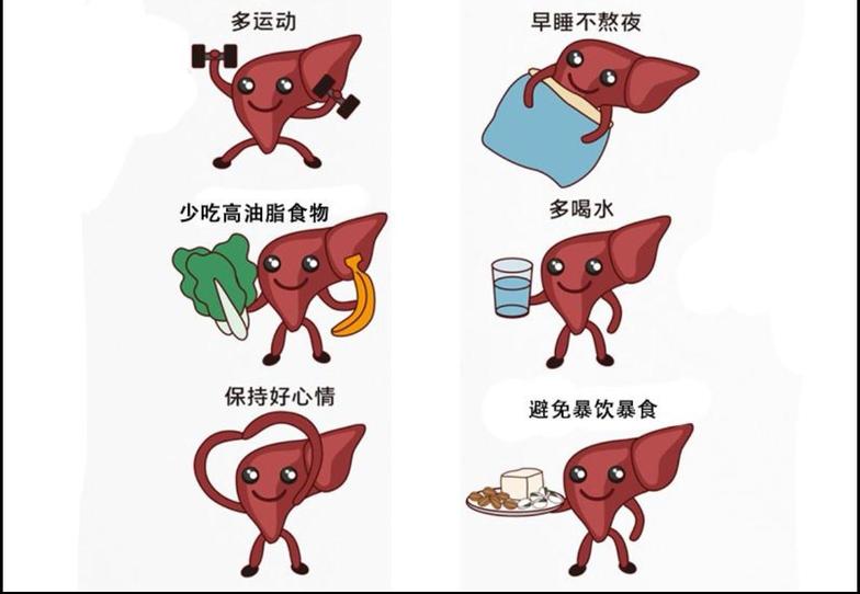 脂肪肝