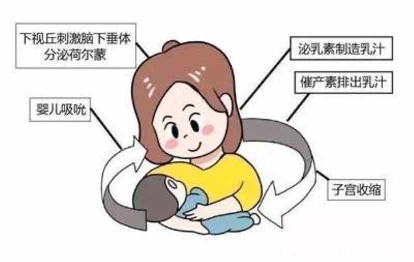 产后缺乳少乳这些妙招教你如何正确下奶