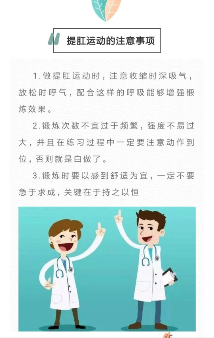 经常提肛预防痔疮