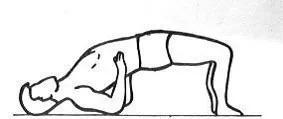 如何进行腰背肌功能锻炼