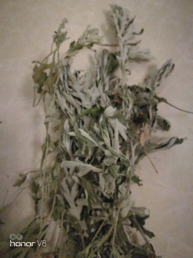 五月端午话艾草