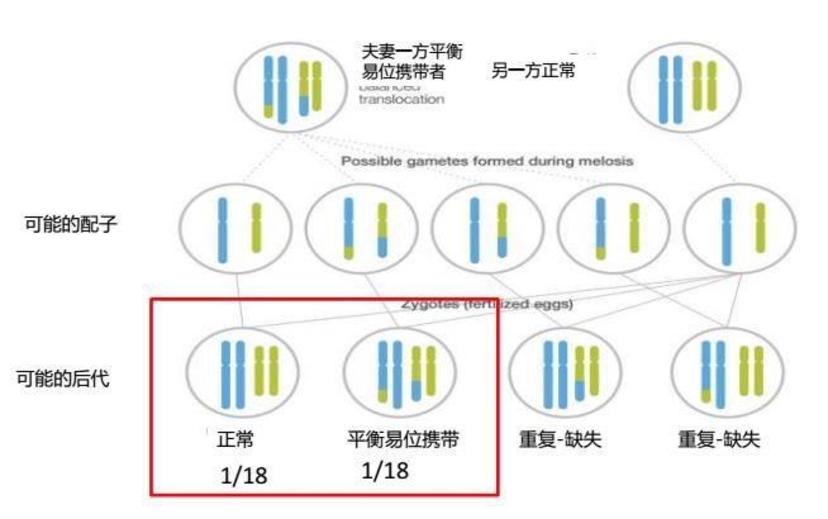 1胚胎染色体异常(数目异常:非整倍体,16,22,21,15,18三体多见,16三体