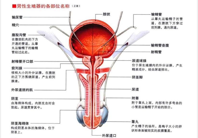 谁的青春不迷茫 1 0 健康号 微医