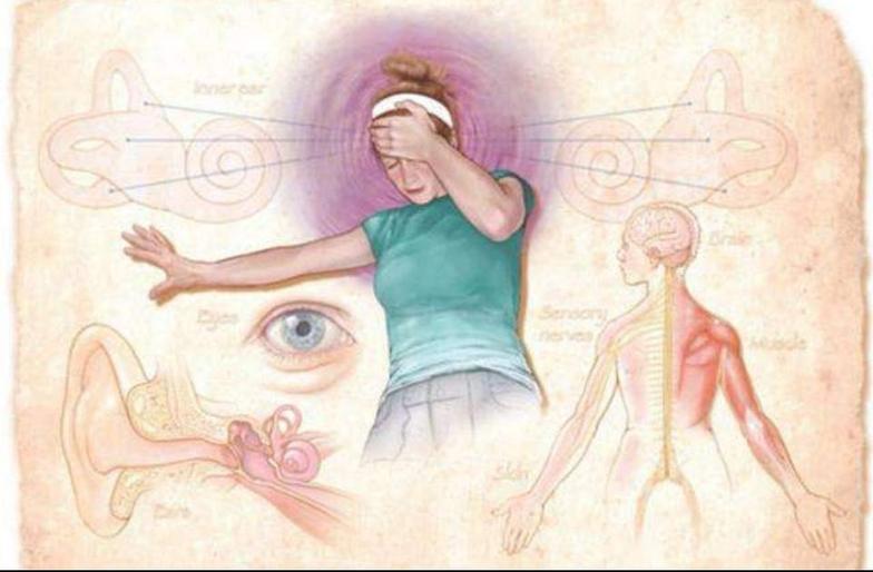 人体通过视觉,本体觉(位置觉和运动觉)和前庭器官(主要功能是感受机体