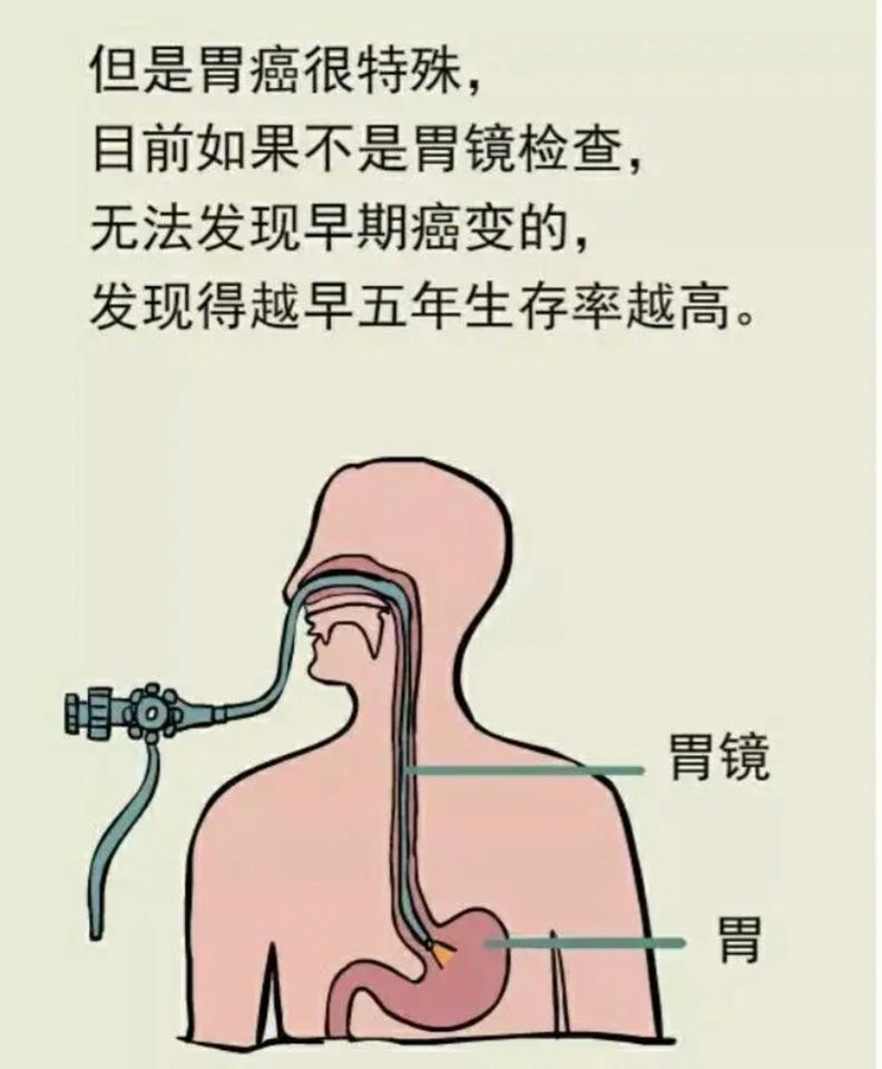 微医挂号网收费标准(微医挂号网是正规的吗)