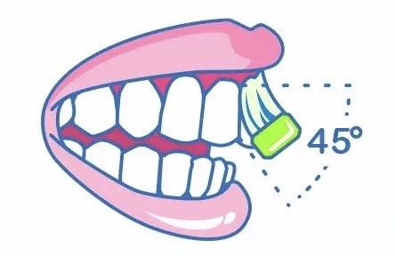 口腔健康从正确刷牙开始!