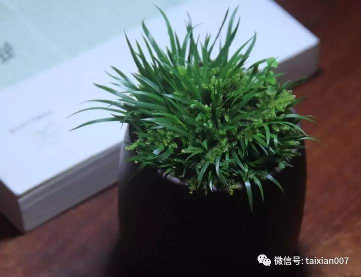 掌握这6个要点胰岛素存放不再出错