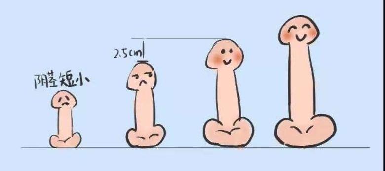 丁丁一般发育到几岁