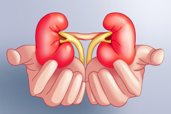 肾功能衰竭的六大信号