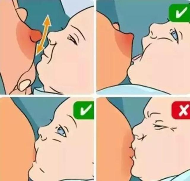 柔和!婴儿吃奶少"推荐专家"-第2张图片-蒲城博客