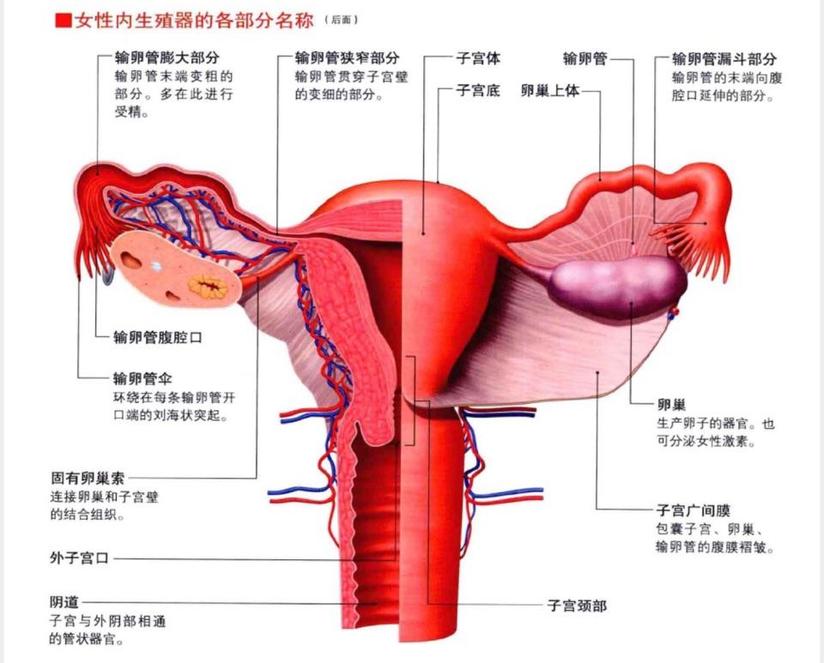 谁的青春不迷茫 1 0 健康号 微医