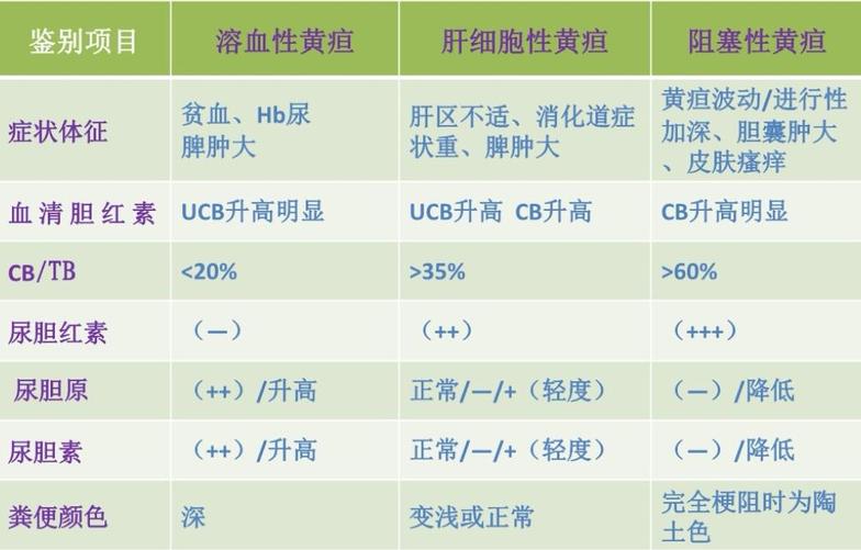 了解胆红素与黄疸