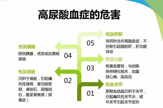 这些人的尿酸容易高看看你在不在这里