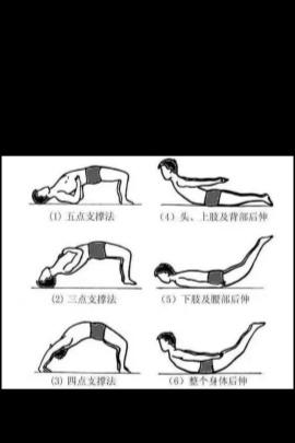 腰背肌功能锻炼