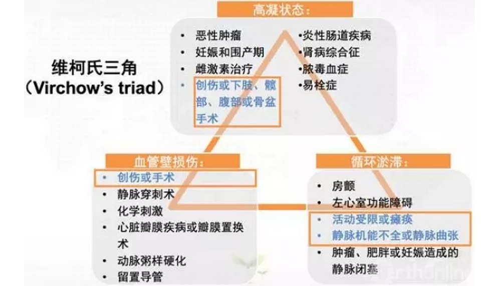 德国科学家virchow提出了"血栓形成三要素"-维柯氏三角,即静脉循环瘀