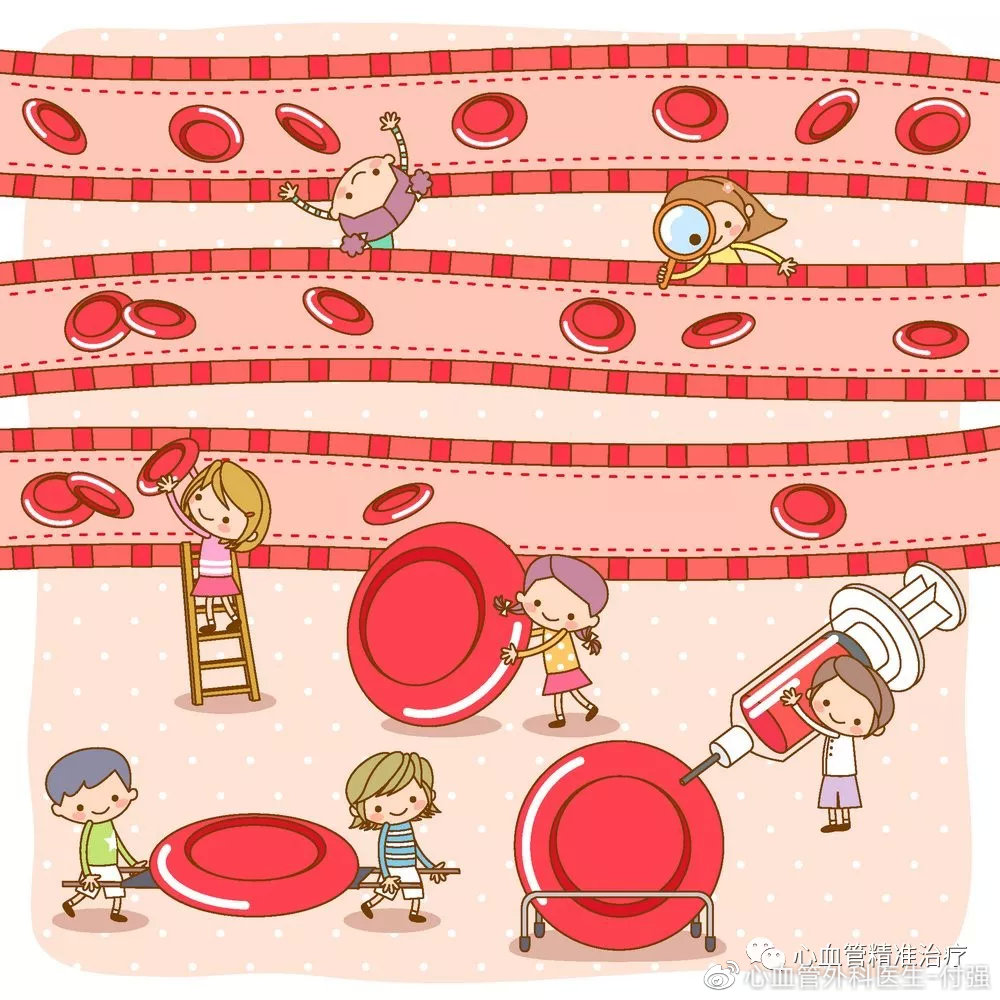 8个小妙招改善血液循环