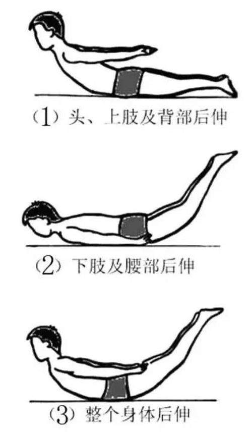 锻炼推荐飞燕点水,趴在床上,头和脚进行抬起来,仅用腹部着地,这样保持