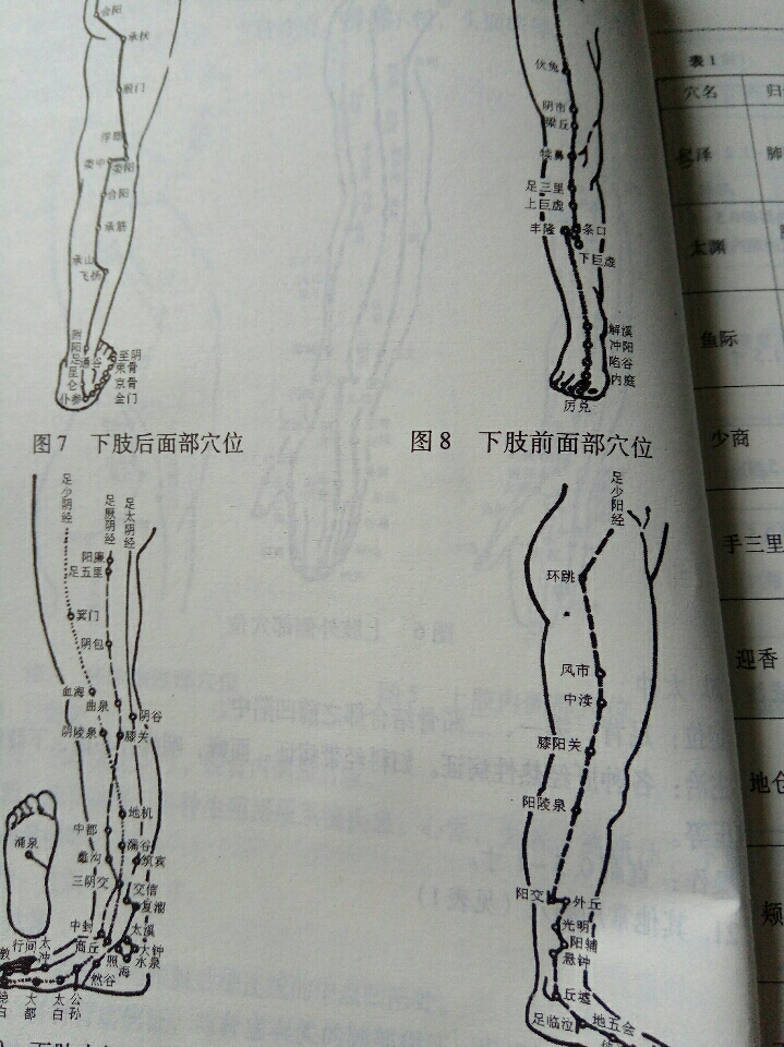 下肢偏瘫针灸部位图图片