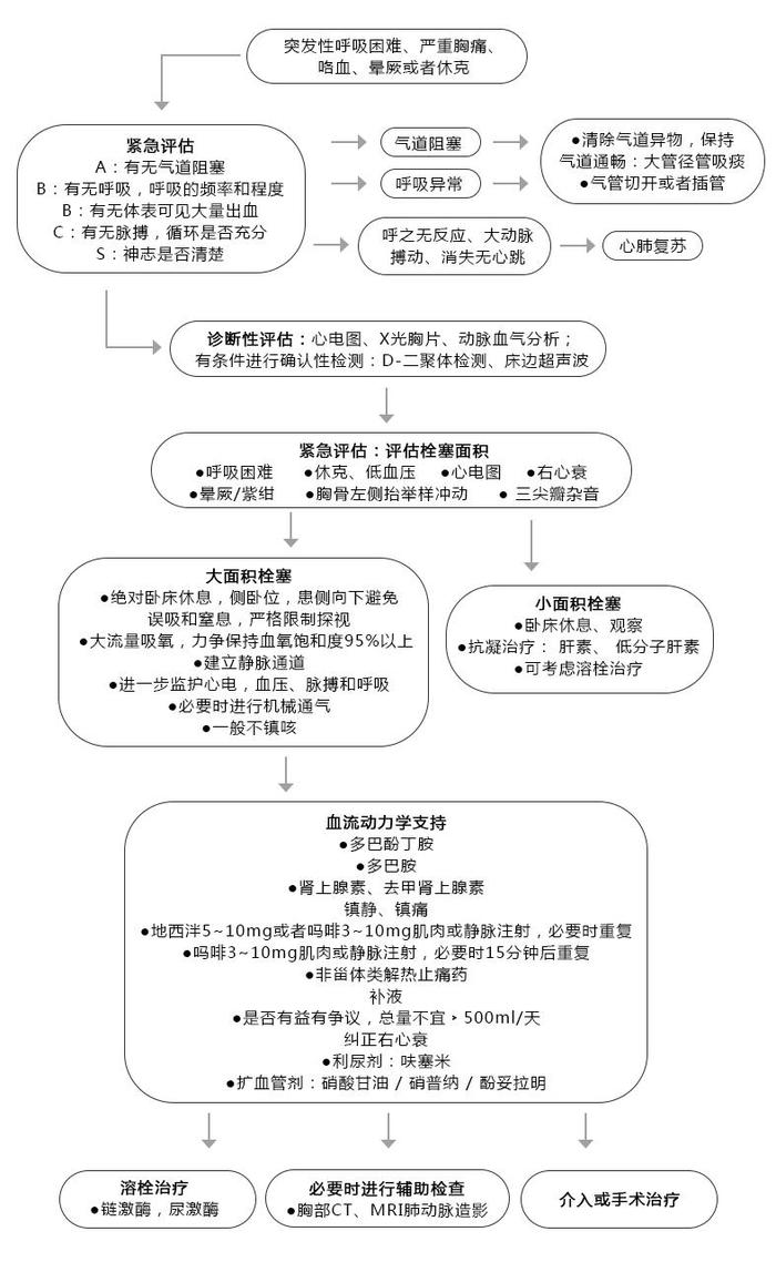 一图读懂急性肺栓塞的诊治流程|请收藏好!