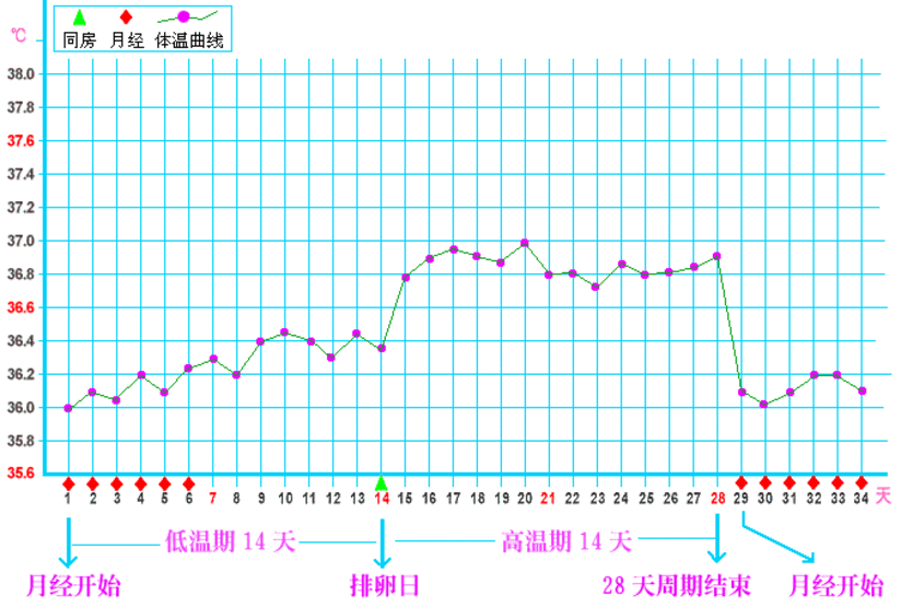 基础体温测试你了解吗 健康号 微医