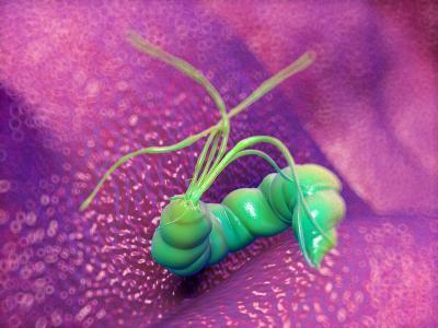 对抗幽门螺旋杆菌的头号克星是什么东西呢?