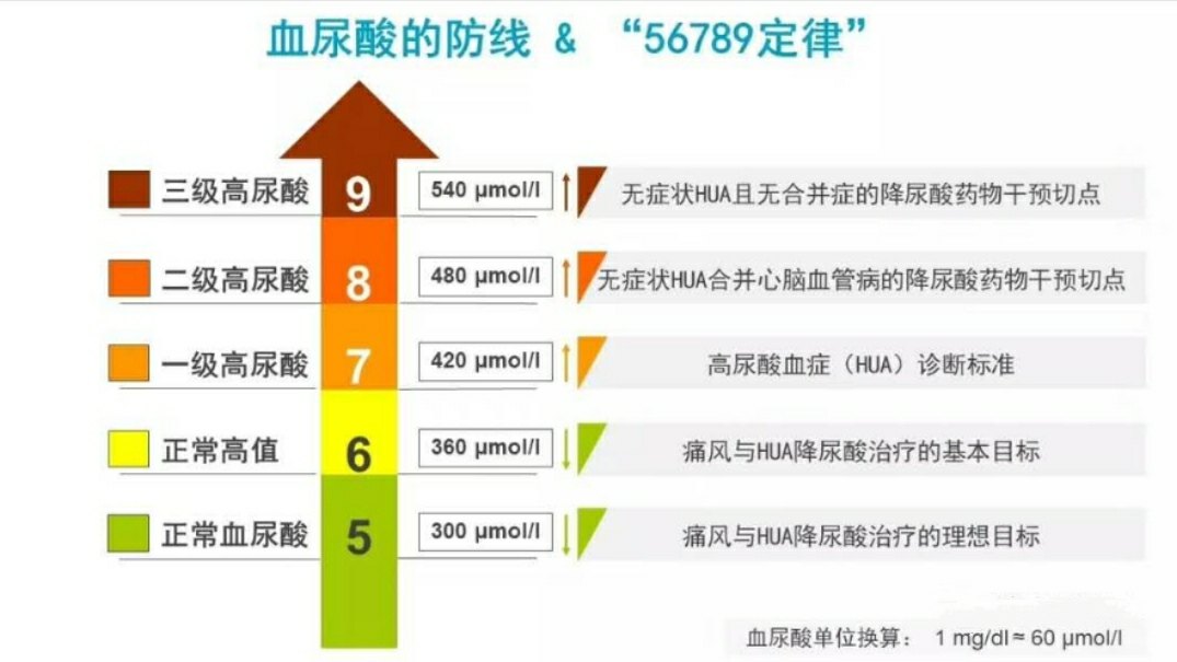 痛风降尿酸56789定律中西医治疗特点