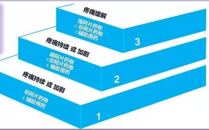 更重要的是,多模式镇痛始终强调以选择性 cox-2 抑制剂,非选择性