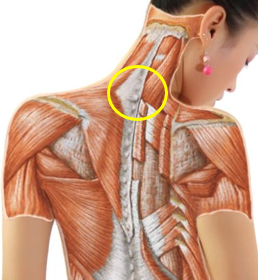 常见问答九脖子后面有个大包严重吗