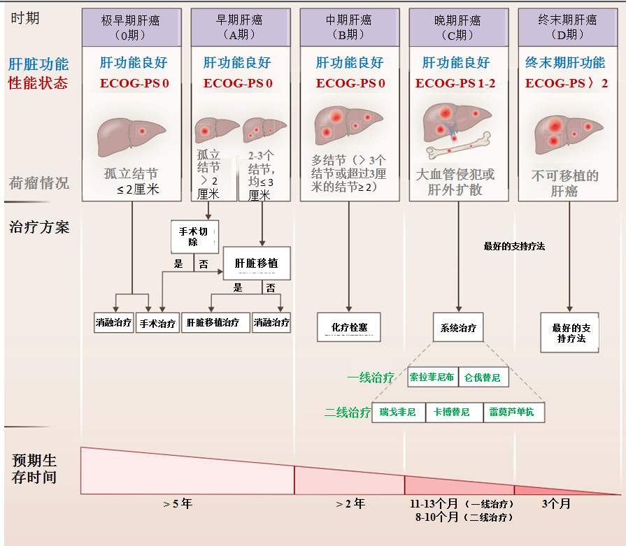 肝癌那些事儿系列三诊断和分期