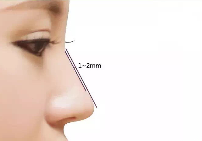 标准美鼻的测量