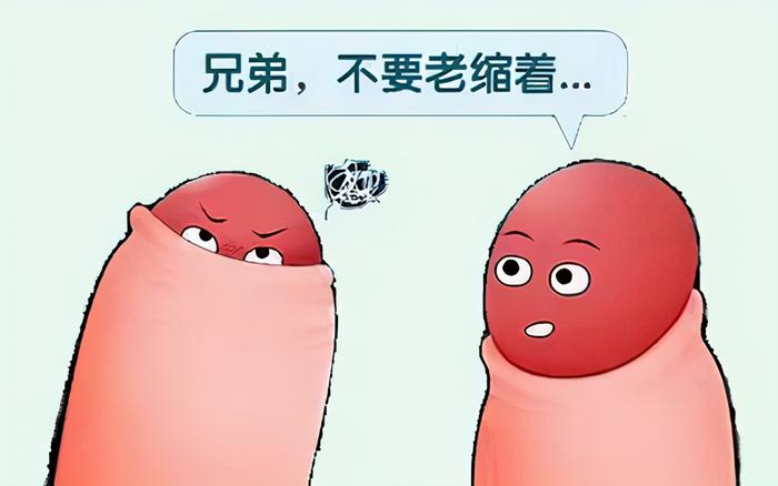 其实,包皮对男性生殖器有一定的保护作用,并非是多余的;就像我们的