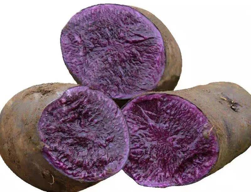 紫皮黄心土豆简介图片