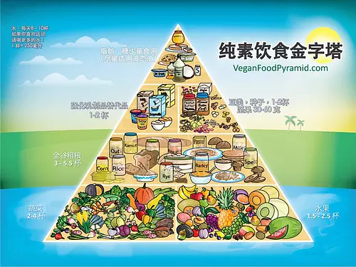 (二)素食方法——采用欧美卫生部推荐的素食金字塔.