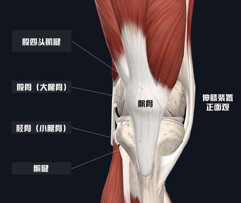 运动后膝盖前方痛 爱护你的伸膝装置 健康号 微医