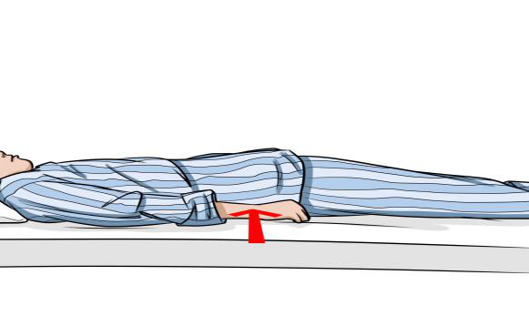 臀肌等长收缩:在仰卧位下,夹紧两侧臀部(两侧肌肉收缩时骨盆会略有