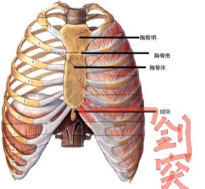 刘懿博士说肺癌三一四摸到前胸壁肿瘤原来是它在作怪