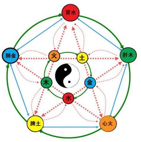 中医阴阳五行学说