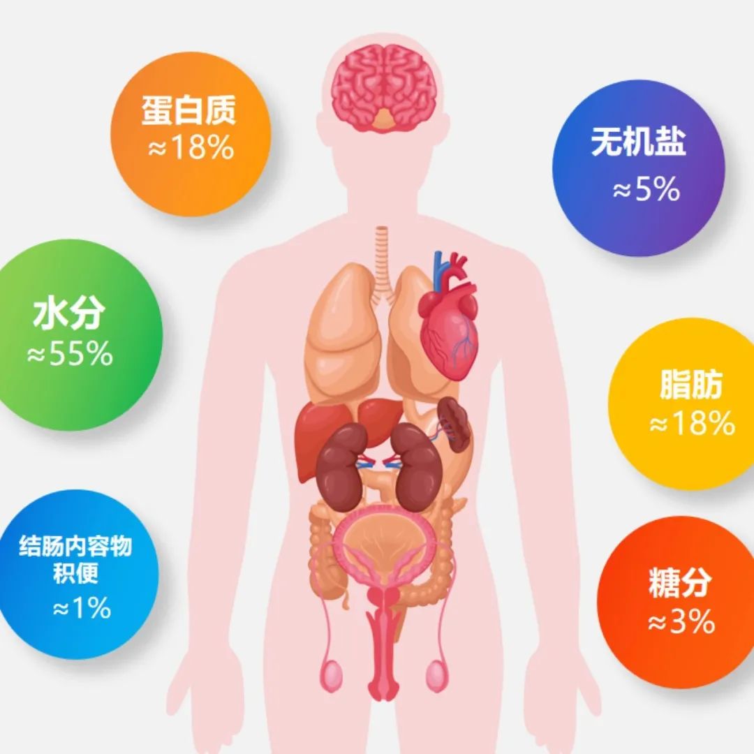 人体成分分析告诉了我们什么? - 微医(挂号网)