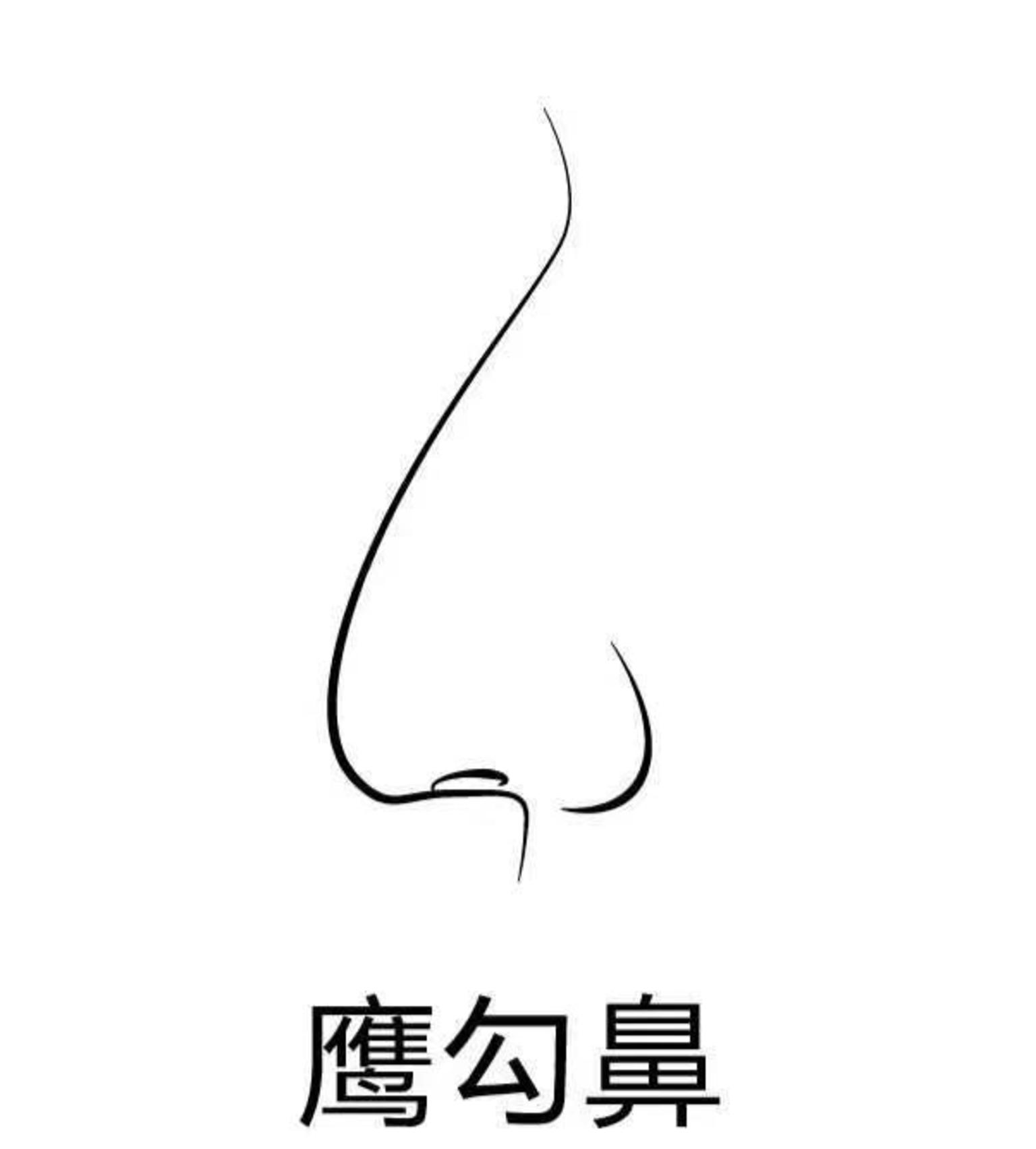 不完美鼻型之鹰钩鼻_健康号-微医