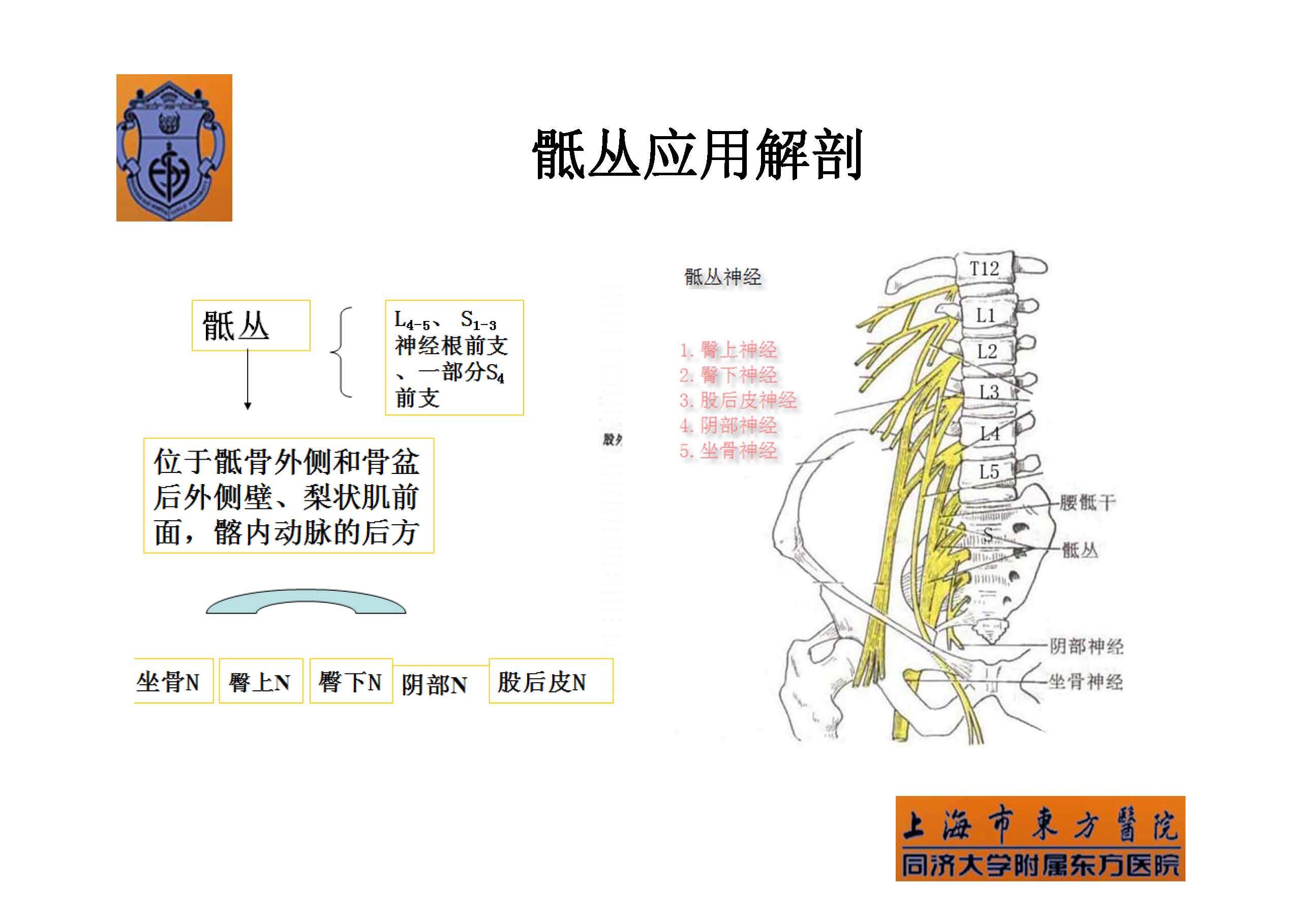 实用骶丛神经阻滞