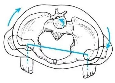 骨盆一歪全身病