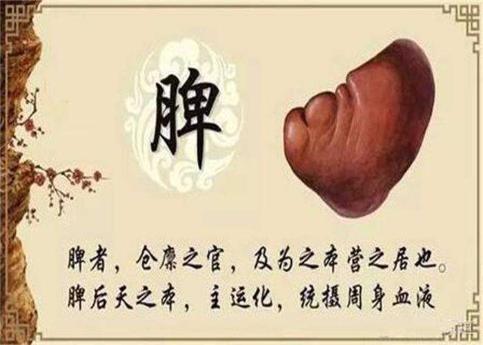 长夏季节养护脾胃的重要性_董宏生医生文章_北京中医医院-微医