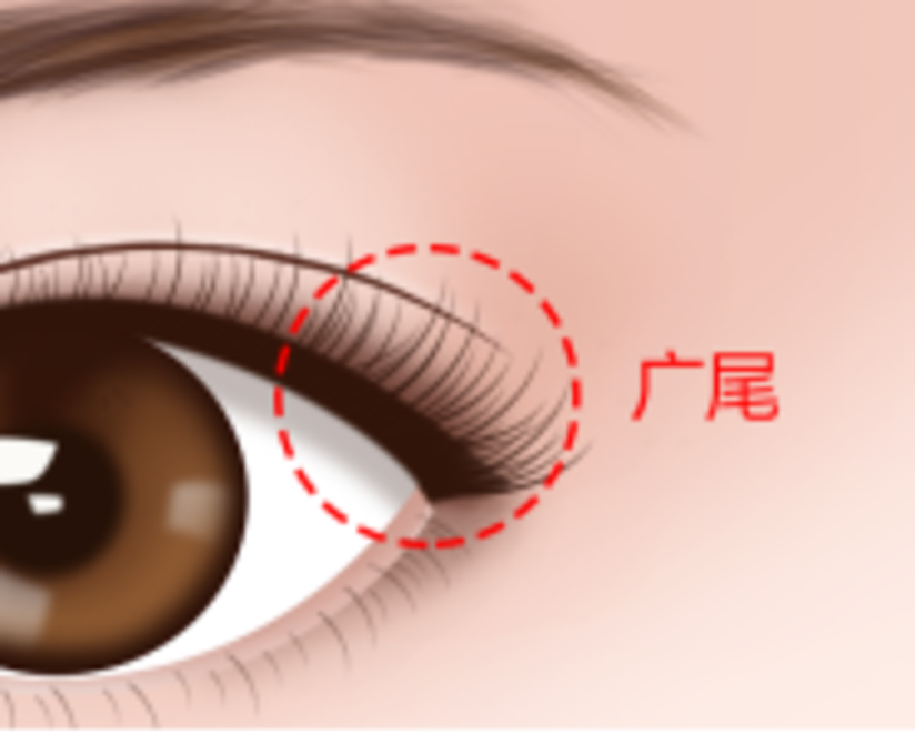 教你一招 四大眼型特征一眼识别 你的眼睛暗藏哪些风格 健康号 微医